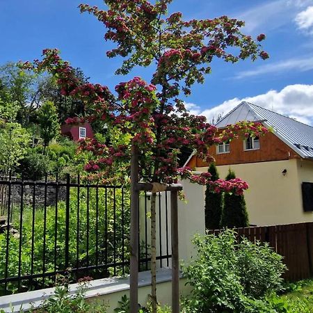 Villa Siglisberg à Banská Štiavnica Extérieur photo