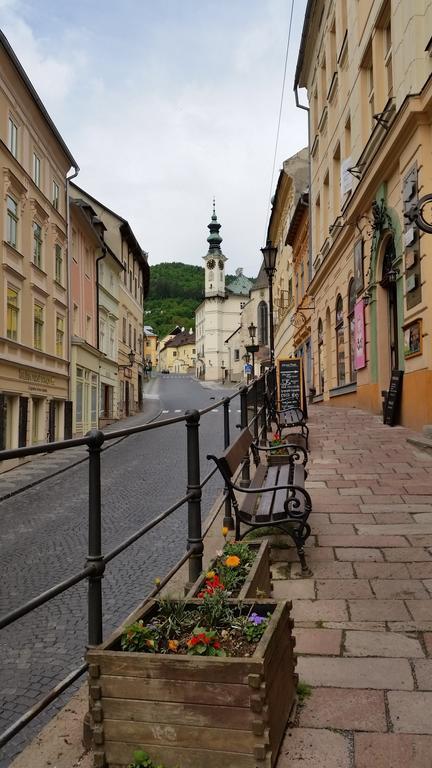 Villa Siglisberg à Banská Štiavnica Chambre photo