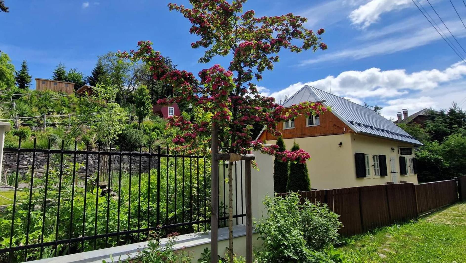 Villa Siglisberg à Banská Štiavnica Extérieur photo